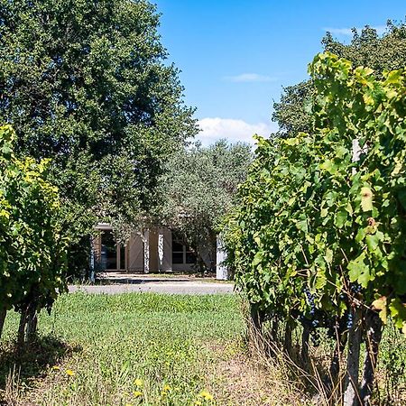 לינה וארוחת בוקר Ordonnac Au Detour Des Vignes מראה חיצוני תמונה