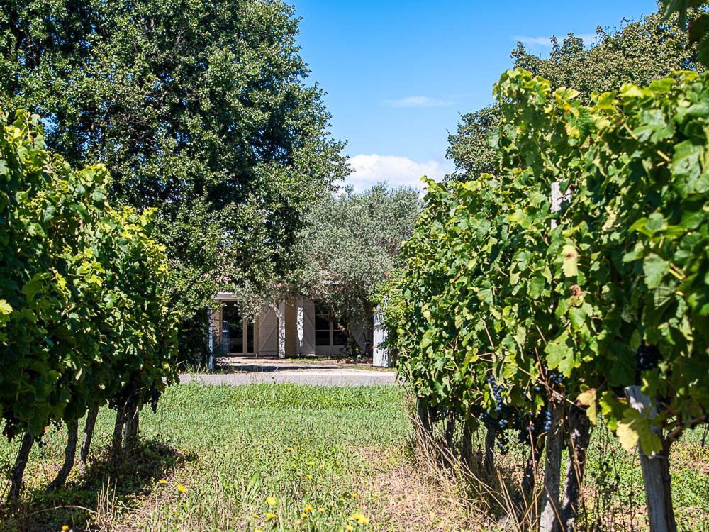 לינה וארוחת בוקר Ordonnac Au Detour Des Vignes מראה חיצוני תמונה